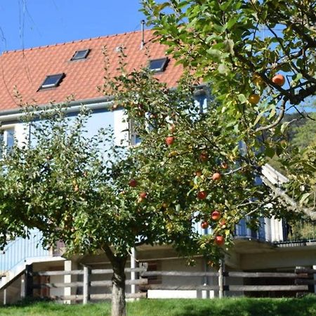 Les Locations De Stephanie ,Gite Le Verger Sondernach Екстер'єр фото