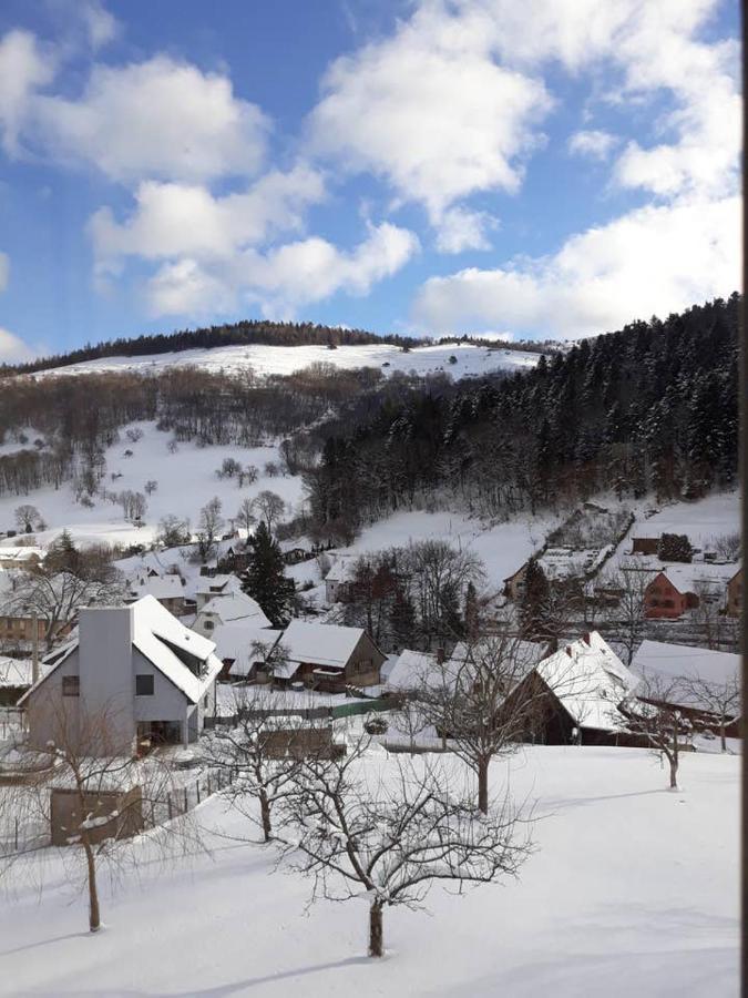 Les Locations De Stephanie ,Gite Le Verger Sondernach Екстер'єр фото