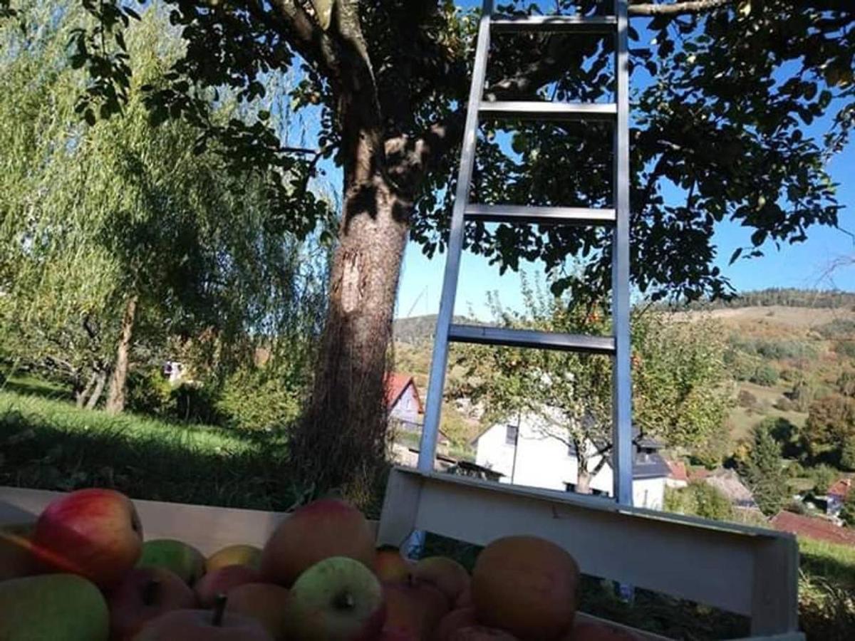 Les Locations De Stephanie ,Gite Le Verger Sondernach Екстер'єр фото