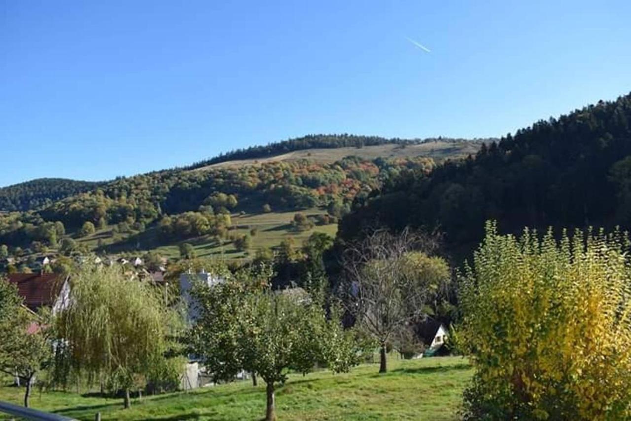 Les Locations De Stephanie ,Gite Le Verger Sondernach Екстер'єр фото