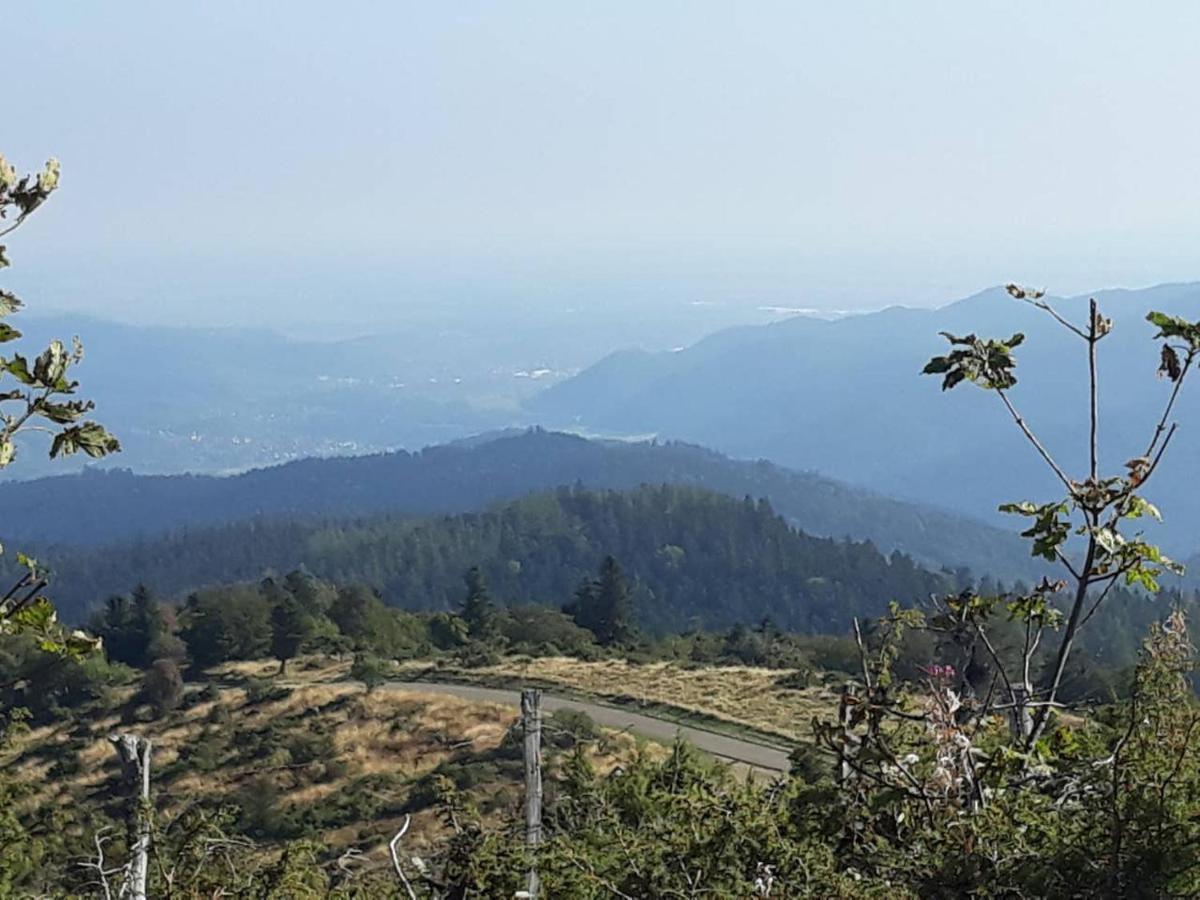 Les Locations De Stephanie ,Gite Le Verger Sondernach Екстер'єр фото