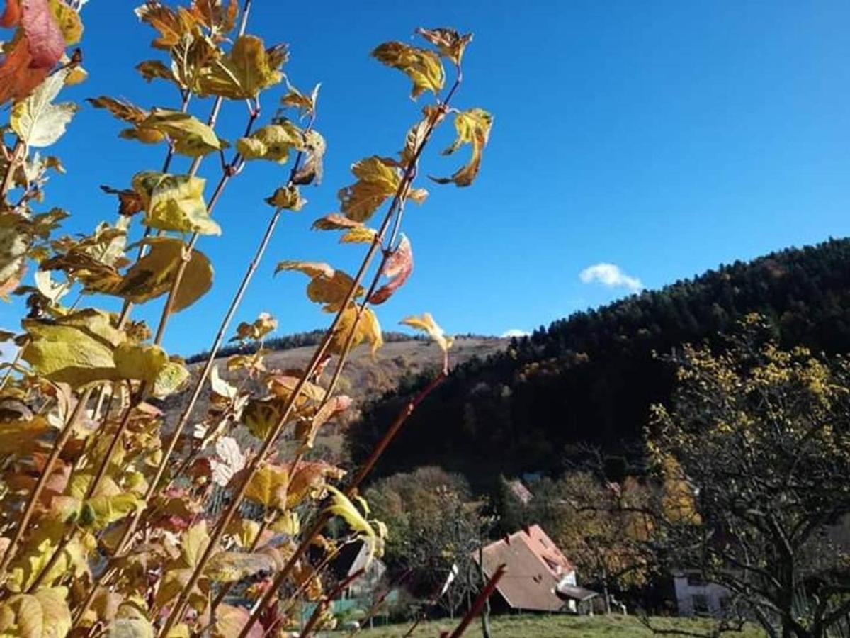 Les Locations De Stephanie ,Gite Le Verger Sondernach Екстер'єр фото