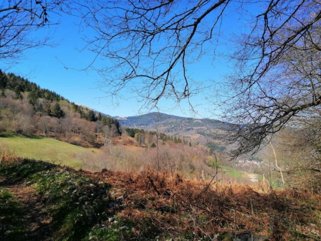 Les Locations De Stephanie ,Gite Le Verger Sondernach Екстер'єр фото