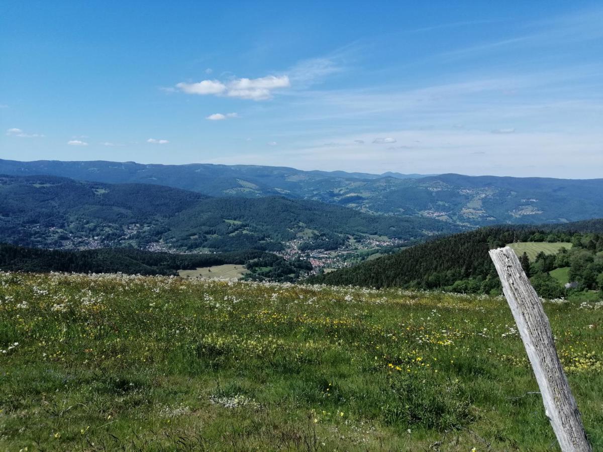 Les Locations De Stephanie ,Gite Le Verger Sondernach Екстер'єр фото