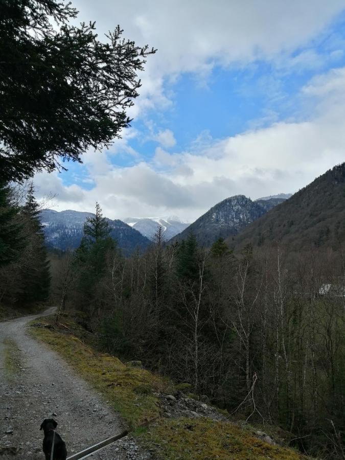 Les Locations De Stephanie ,Gite Le Verger Sondernach Екстер'єр фото